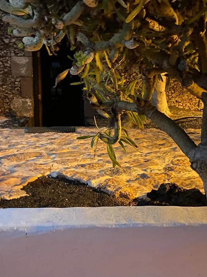 Apartamento Casa Camelio Mácher